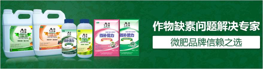 #微肥課堂#為什么葉面肥養(yǎng)分含量相同，效果卻不同？