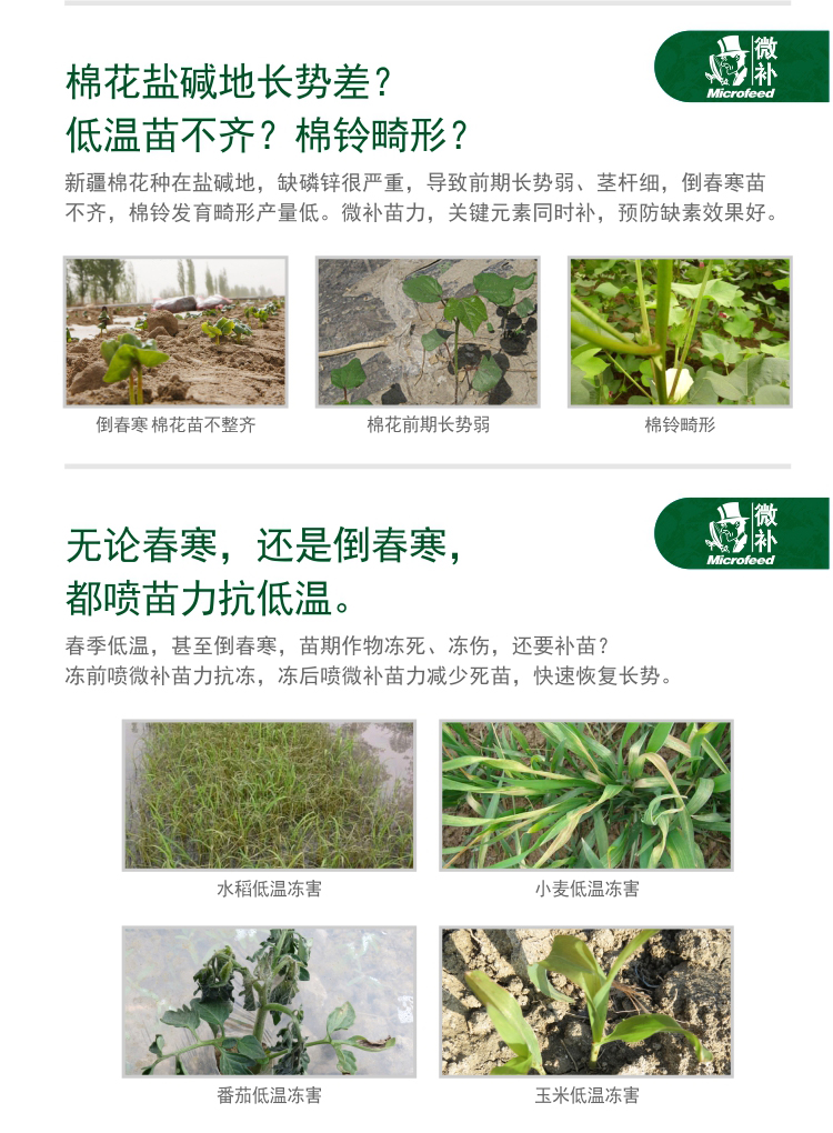 微補(bǔ)苗力
