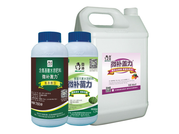 讓作物安全過冬的實用小妙招，速看